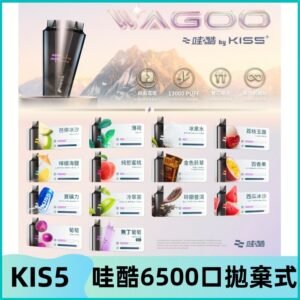 Kis5電子煙 Kiss拋棄式哇酷|WAGOO6500口一次性電子煙
