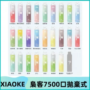 梟客XIAOKE|7500口可發光拋棄式電子煙 跑馬燈一次性